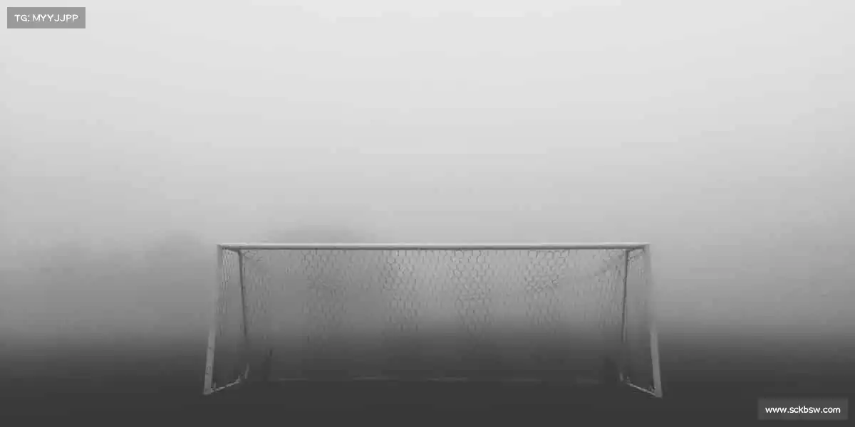 PA视讯——从心出发，让运动成为生活的主旋律！🏋️‍♀️